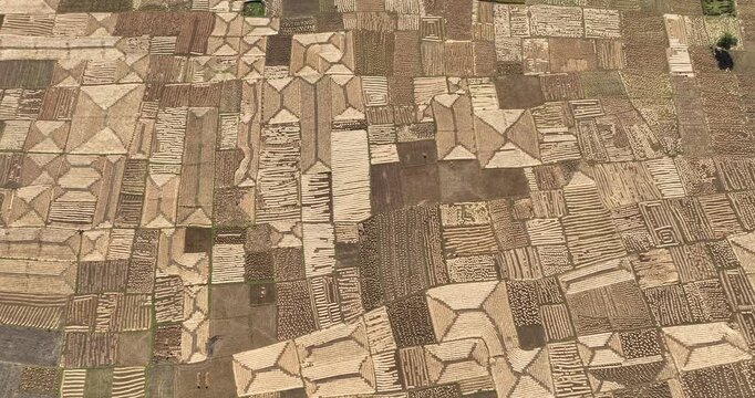 Aerial view of geometrically designed fields create a mosaic of earthy tones, showcasing agricultural patterns, Panchagarh, Rangpur Division, Bangladesh.