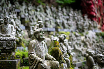Ancient stone statues of Rakan, Japan, in a mossy hillside setting