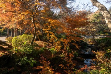 千葉県成田市　紅葉の成田山新勝寺
