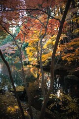 千葉県成田市　紅葉の成田山新勝寺
