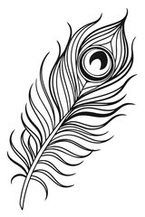 Obraz premium a single peacock feather. It features the distinctive eye-shaped pattern near the top, with long, elegant fronds extending outward and a slender quill at the bottom. The style is minimalist.