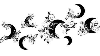 Fototapeta premium Elegant black crescent moon illustrations intertwined with floral ornaments on white background