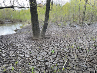 Dry and broken grey soil background