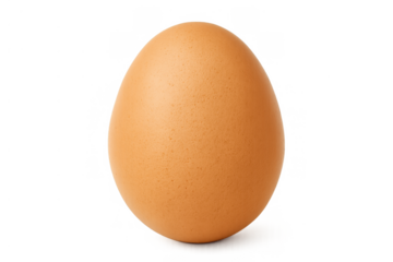 Brown egg standing isolated on a transparent background, depicting healthy eating and natural protein ingredient