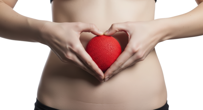 Woman's hands forming a heart shape around a red stress ball over her abdomen isolate health wellness