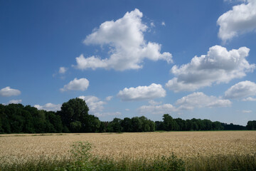 Obraz premium Region Teutoburger Wald