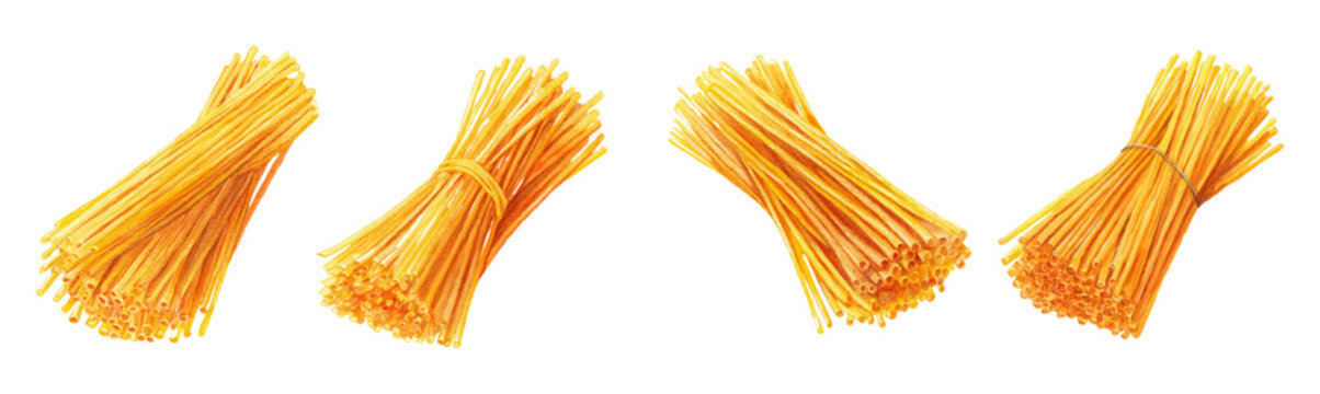 Watercolor set of dry spaghetti. Italian long spaghetti for cooking pasta. Italian products for cooking pasta. Perfect for food packaging design, menus and culinary blogs.