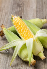Fresh sweet corn on cob with husk partially peeled