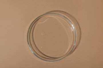 Empty Petri dish on beige light background