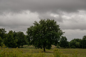 Fototapeta premium Region Teutoburger Wald