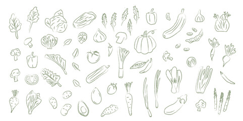 Colored vegetable doodle set in crayon sketch style. Hand drawn garden produce icons for healthy food branding, packaging, and pattern design. Vector illustration isolated on white background.