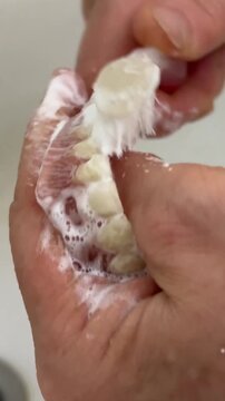 jaw cleans teeth with false teeth. The hands of an adult woman brushing her teeth with a toothbrush, dentures over a sink. High quality 4k footage