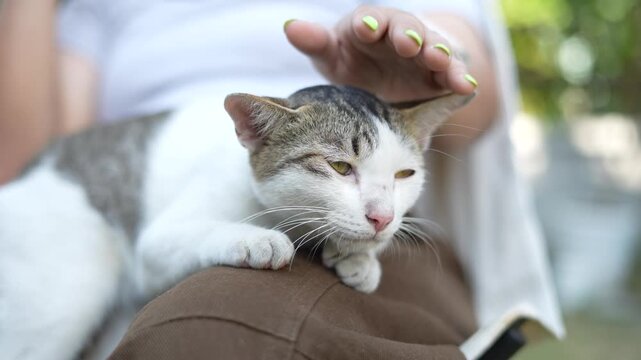 Close-up of loving owner gently caressing sleepy cat resting on lap