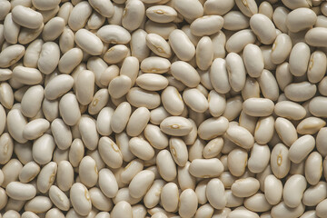 A closeup, fullframe view of numerous dry white beans, showcasing their smooth texture and uniform color