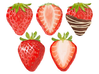 いちごのベクターイラストセット(料理素材・半分カット・チョコがけ)