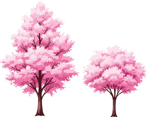 Obraz premium Two Beautiful Pink Cherry Blossom Trees Vector Set, Illustrating Spring, Sakura, and Japanese Nature Elements for Decorative Design.