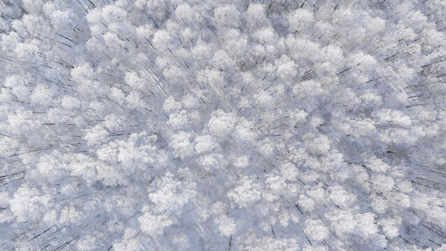 Snowy Scenery of the Greater Khingan Mountains