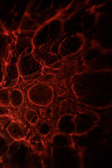 A dark abstract composition featuring glowing red organic patterns and circular forms, creating a dramatic, mysterious visual texture.