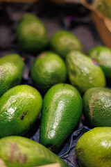 Fresh avocados displayed in a market crate, showcasing their smooth green skin and natural, vibrant appearance.