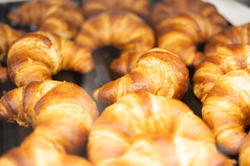 Golden, freshly baked croissants displayed in a warm bakery setting, highlighting their flaky layers and rich, buttery texture.