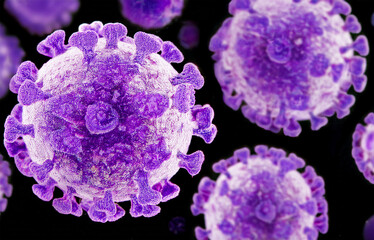 Influenzavirus A/H3N2 - 3