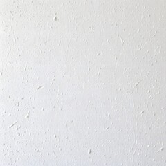 Obraz premium Close Up of Textured White Wall Surface with Subtle Detailing in Contemporary Interior Design