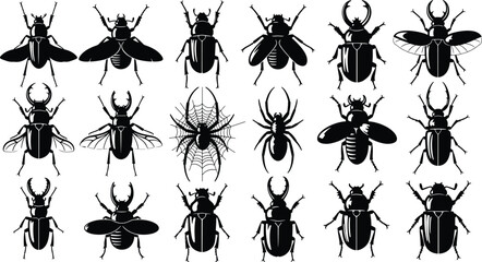 Set of black beetle silhouettes featuring stag bugs and spider with web, vector illustration isolated on white background, nature wildlife design collection.