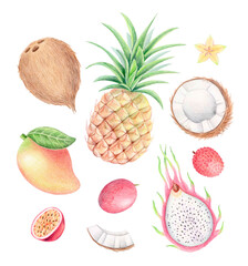 Watercolor and colored pencil set of tropical fruits: pineapple, coconut, mango, pitaya, lychee, passion fruit, and star fruit isolated on white. Botanical summer illustration for packaging and prints