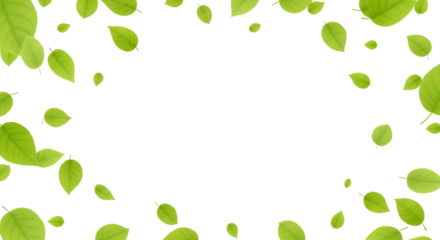 Scattered Bright Green Leaves In Various Sizes Float On A Transparent Background Creating A Vibrant Natural Border Nature Spring