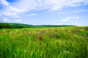 Fototapeta premium View of the landscape near Gensungen, close to Felsberg. 