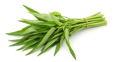 Fototapeta premium Fresh water spinach Ipomoea aquatica on white background morning glory vegetable green bundle tied asian