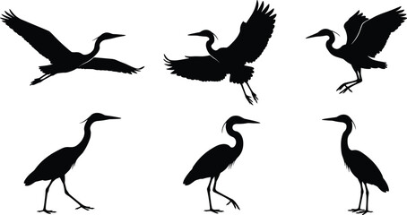 Naklejka premium Vector Silhouettes Collection of Great Blue Herons in Flight and Standing Poses, featuring Detailed Wings and Long Legs, Ideal for Nature and Wildlife Graphics.Vector Silhouettes 