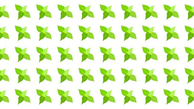 Bright green mint leaves pattern suitable for packaging, home decor, stationery, backgrounds, textiles, and branding projects. Great for naturethemed designs.