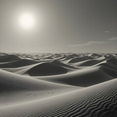 sand dunes in the desert