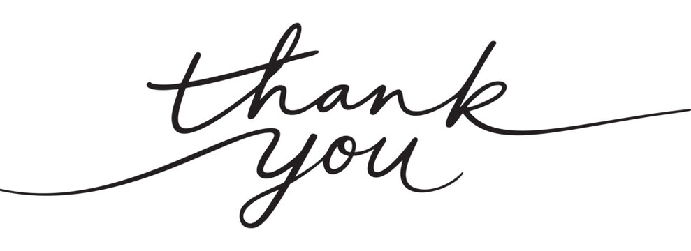 Thank you black line lettering. Hand drawn vector calligraphy isolated on white.