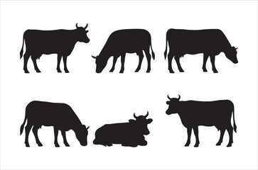 Silhouette collection of grazing cows and resting cattle in a field