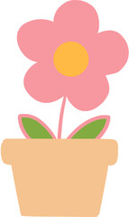 flower in a pot