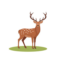 Fototapeta premium Spotted Deer with Large Antlers Standing on Green Grass