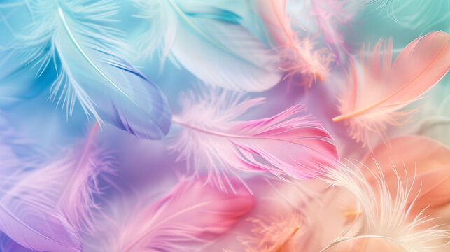 Close-up wallpaper featuring a delicate feather pattern in soft shades of white, pink, purple, green, and blue, creating a gentle and elegant visual harmony.
