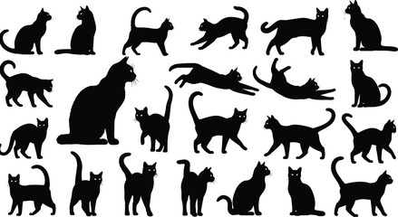 Cat silhouette collection, feline poses, animal movement, black vector illustration, pet behavior, walking, jumping, sitting, stretching, running, standing © Mdjoshel 