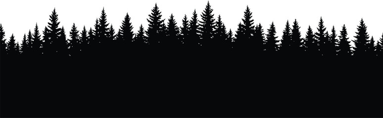 Obraz premium Silhouette of a dense evergreen forest against a white background