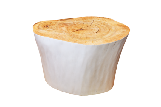 Wooden stump isolated on white background shows rings and natural texture for design use.