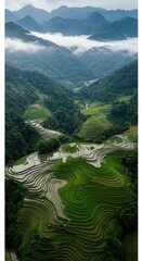 Lush green rice terraces carved into mountainous landscape