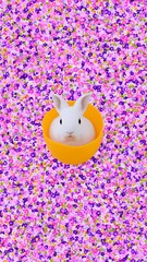 Vintage-style floral bunny