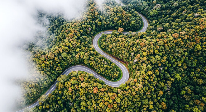 An atmospheric aerial perspective showcases a serpentine asphalt road cutting through lush, verdant foliage and drifting clouds.
