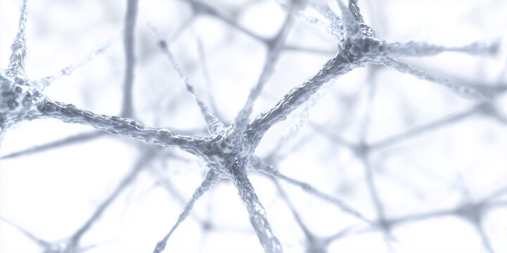 abstract representation of interconnected neurons, gray and white color palette, soft lighting with depth of field, suitable for website banner, social media header, educational presentation backgroun