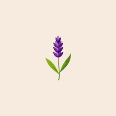 lavender flower icon flat vector design.
