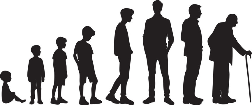 Human life cycle silhouette showing the stages of growth from baby to old age vector illustration on white
