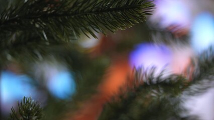 Blurred Christmas Tree Branch With Colorful Lights