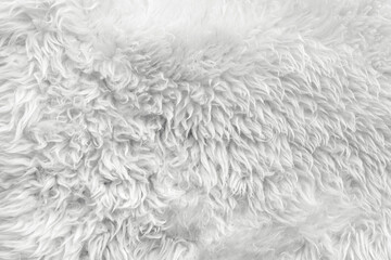 background of white wool